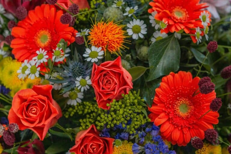 kwiaty przez internet