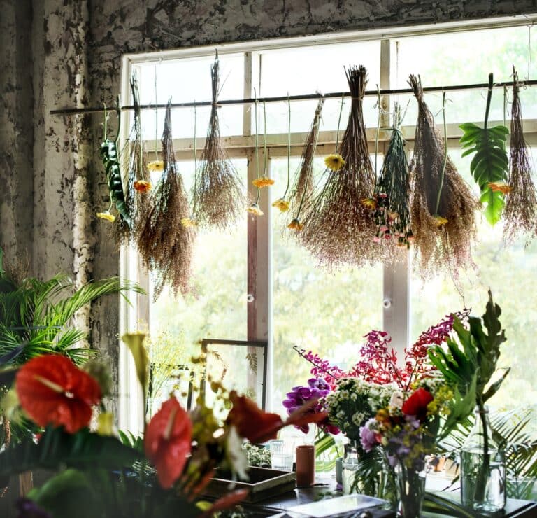 floral-leaves-romance-decoration-freshness-lush-2023-11-27-05-19-55-utc